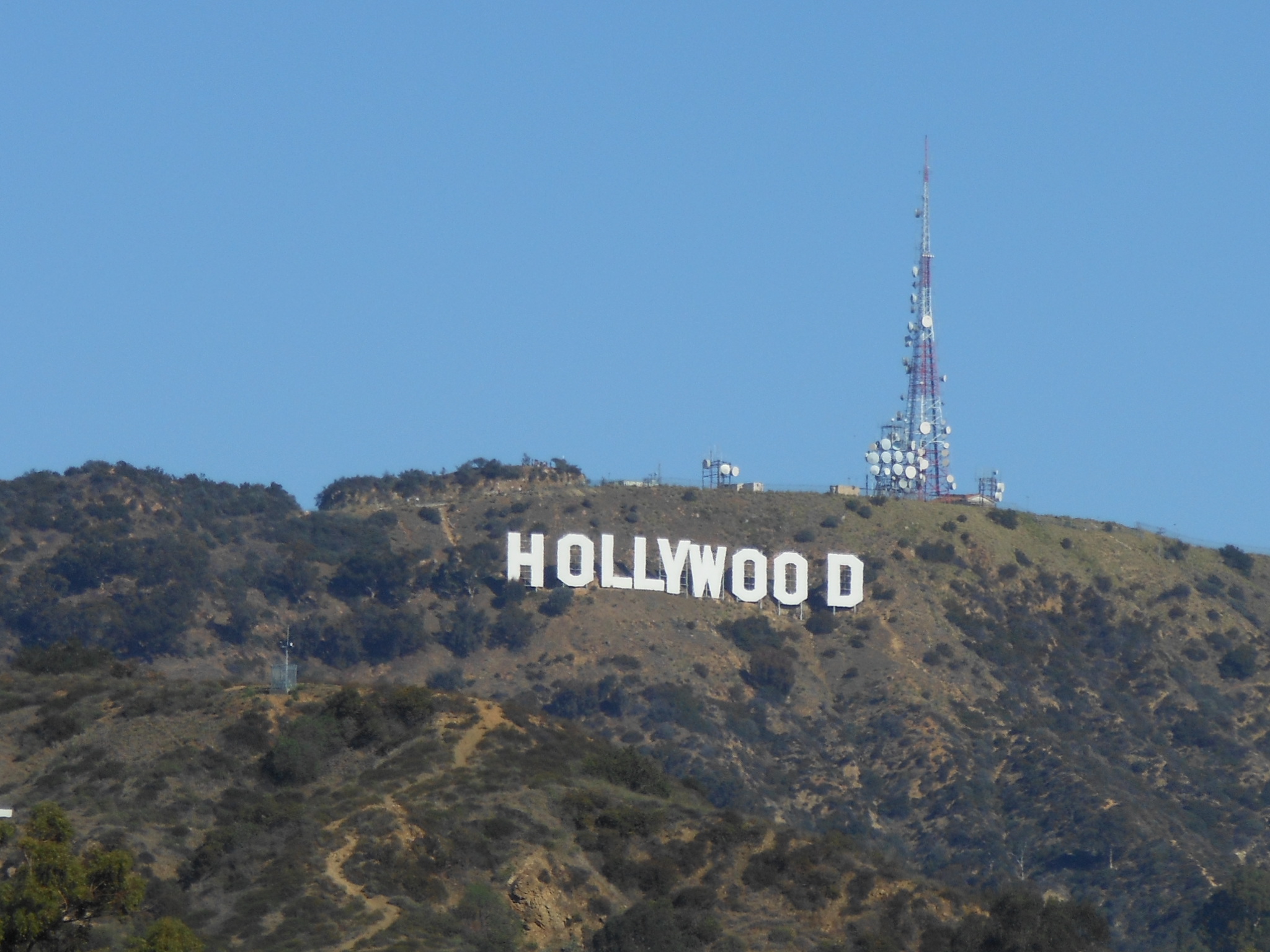 ハリウッドでb Zの手形を探す コロンブスのたまご